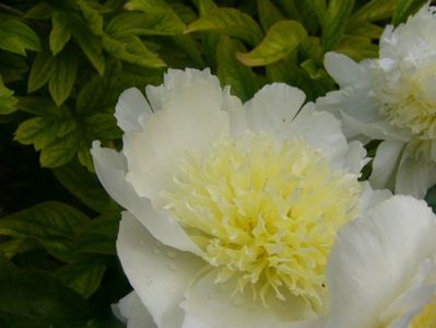 P1370329