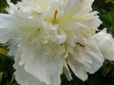 P1370330