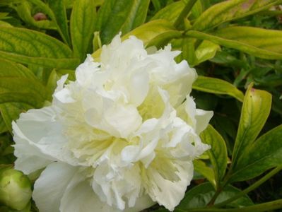 P1370335