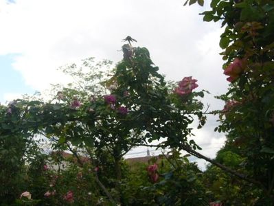 P1370348