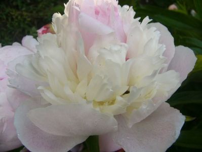 P1370384