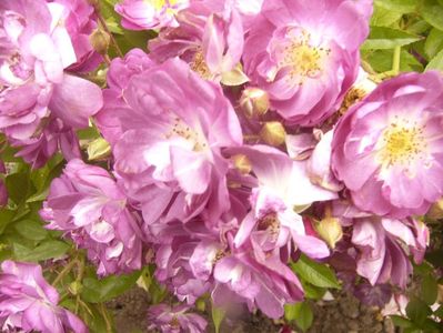 P1370410