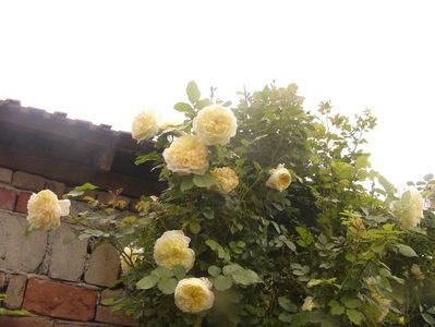 P1370412