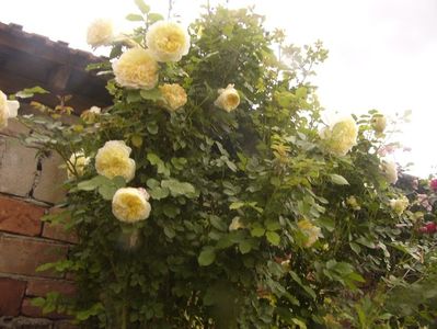 P1370415
