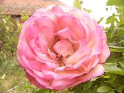 P1370420