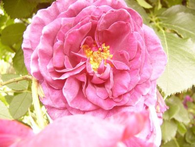 P1370454