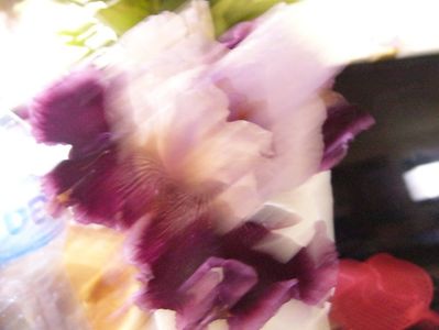 P1370501