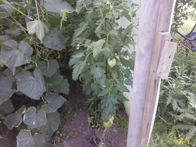 Photo-0005