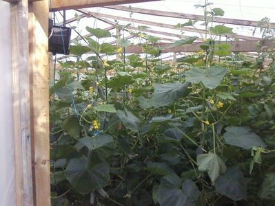 Photo-0006