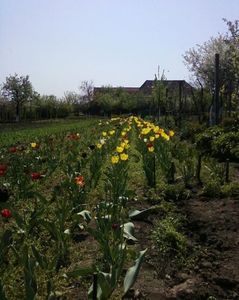 Photo-0008