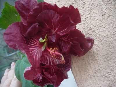 P1470396