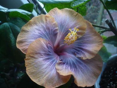 P1470403
