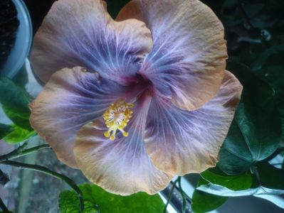 P1470404