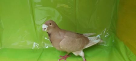 20201230_104221(0)