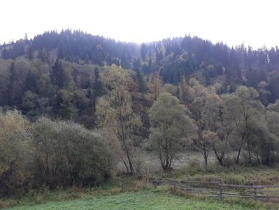 20201009_Vatra Dornei (8)