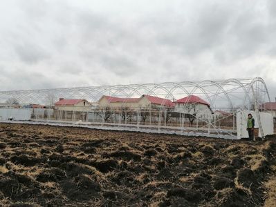 IMG-20210103-WA0003