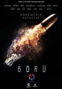 31.Boru