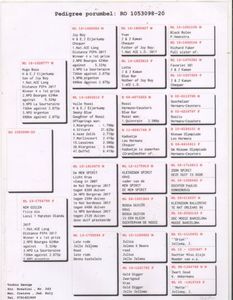 Scan116-2500x3200