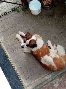 IMG-20210108-WA0039
