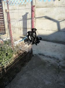 IMG-20210108-WA0057