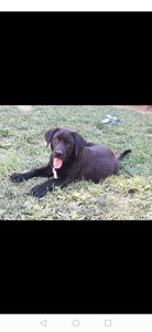 IMG-20210108-WA0072