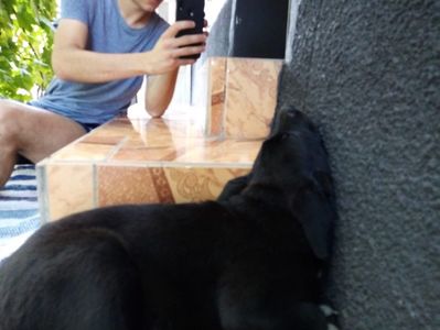 IMG-20210108-WA0080