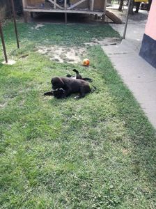 IMG-20210108-WA0081