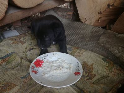 IMG-20210108-WA0092