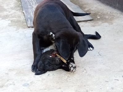 IMG-20210108-WA0102