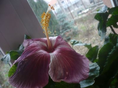 P1470417