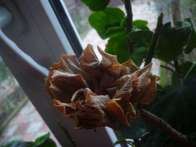 P1470421