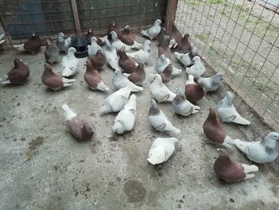 IMG-20201218-WA0002