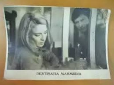 Destinatia Mahmudia
