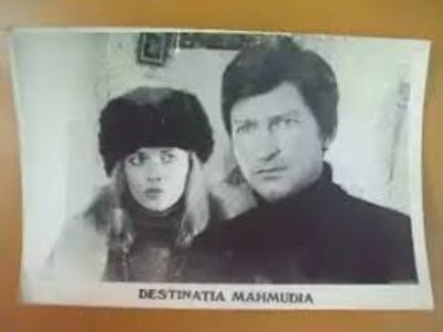 Destinatia Mahmudia