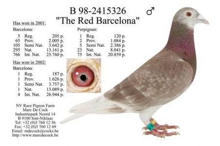 1 int Barcelona 2002 LOEK GARDIEN RBB (LUPINO); 1 int Barcelona 2002 LOEK GARDIEN RBB (LUPINO)
