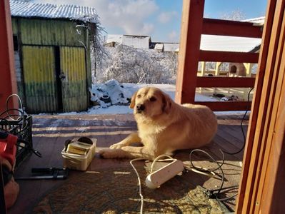 ; Eu sunt Ilie și ma simt foarte bine în Calbor.
