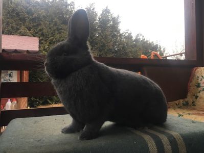 C4872DCE-6F19-4A5B-B025-3E87CEE4562D