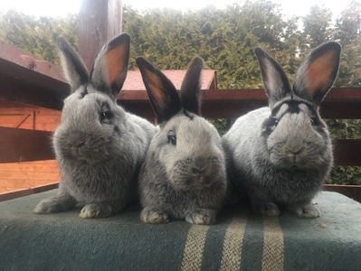 A3516566-08A1-49CD-99D2-011EEC9CB7EB