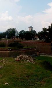 14115472_1257214117624026_8319316227051845667_o_1257214117624026