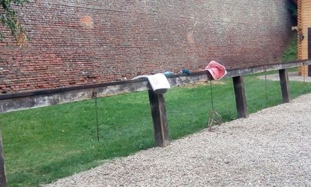 14124316_1257214317624006_3643103099706529265_o_1257214317624006