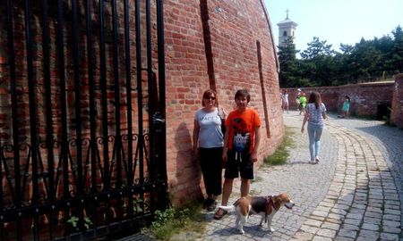 14124484_1257212604290844_6563323306836942647_o_1257212604290844