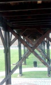 14124492_1257214174290687_38010166466004084_o_1257214174290687