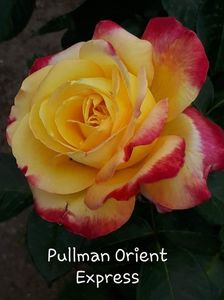 Pullman Orient Express; 5-3
