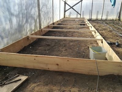 RĂSADNITA; 8000/2000/250
