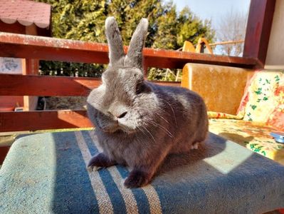 2B87631E-1DB7-4C30-A300-D077FA23B012