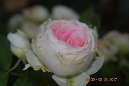 109312336_CWOMVYJ3