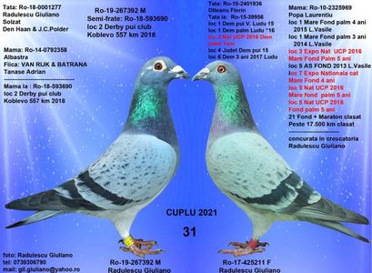31 MOSAICAT & MOZAICATA