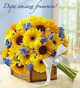 received_344380130035496