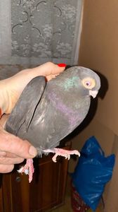 52152078-1DDF-45D6-B3EE-1EB7B7805C3D