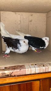 EA64EE8E-DC75-4E58-992A-AE9C16679A7E